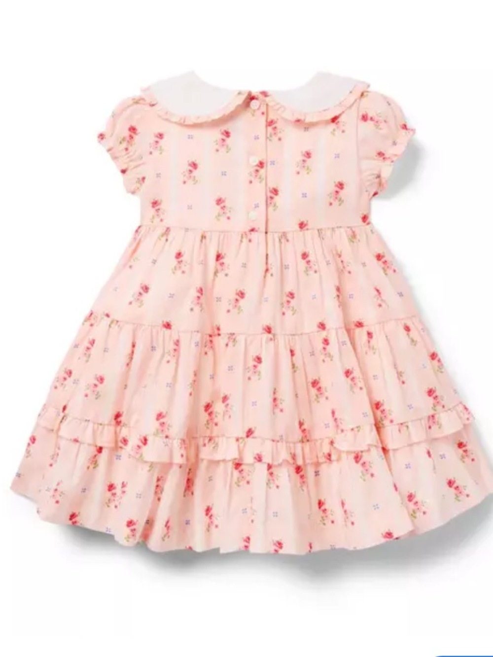 Janie and Jack Baby Ditsy Floral Collared Dress NWT